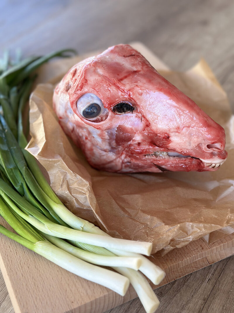 Агнешка главичка